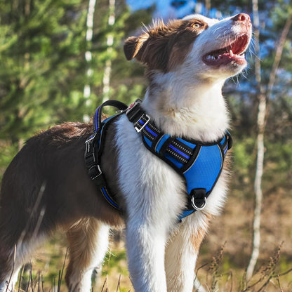 Dog Harness for Large, No Pull 3 Buckles Easy On & Off | Soft Padded, Walking with Control Handle, Adjustable and Reflective, Pink, Large