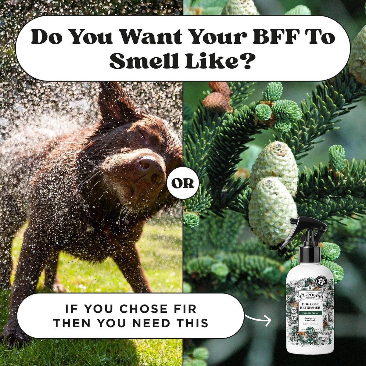Poo- Furrest Fresh Dog Deodorizing Spray, 8 Fl Oz