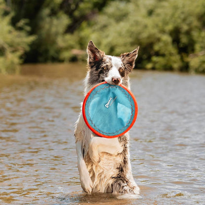 ! Paraflight Flying Disc Dog Toy, Floats, Size Large, 1 Pack