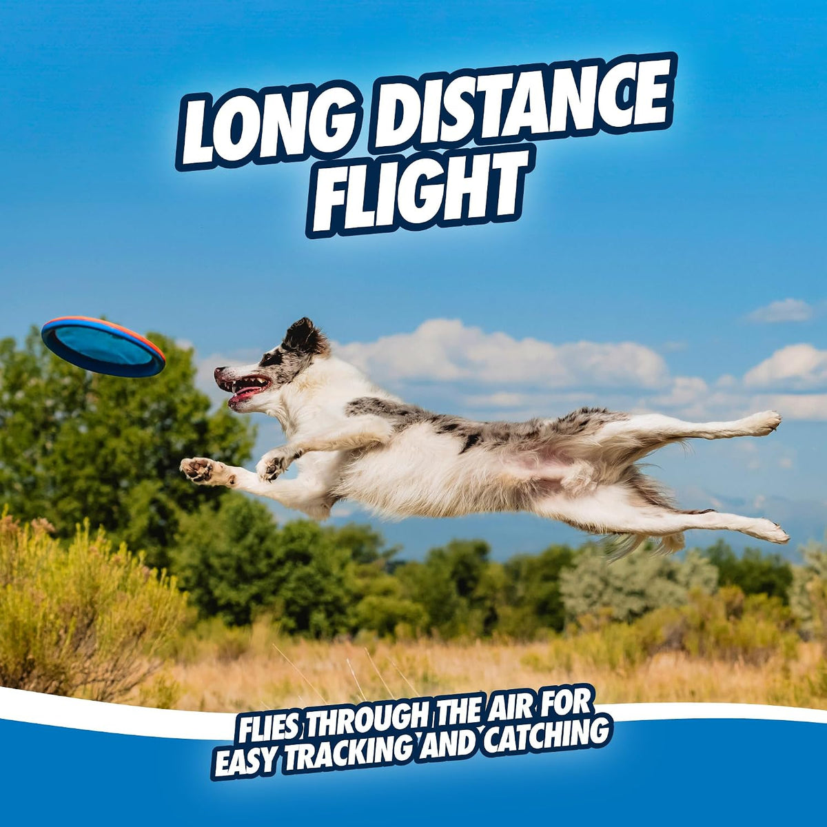 ! Paraflight Flying Disc Dog Toy, Floats, Size Large, 1 Pack