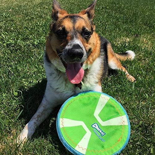 ! Paraflight Flying Disc Dog Toy, Floats, Size Large, 1 Pack