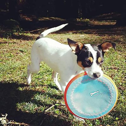 ! Paraflight Flying Disc Dog Toy, Floats, Size Large, 1 Pack