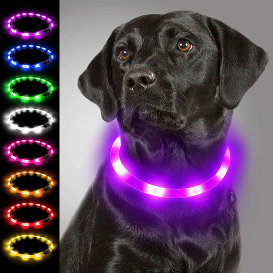 Light Up Dog Collar, LED Silicone Cut-to-Fit Rainproof, Purple