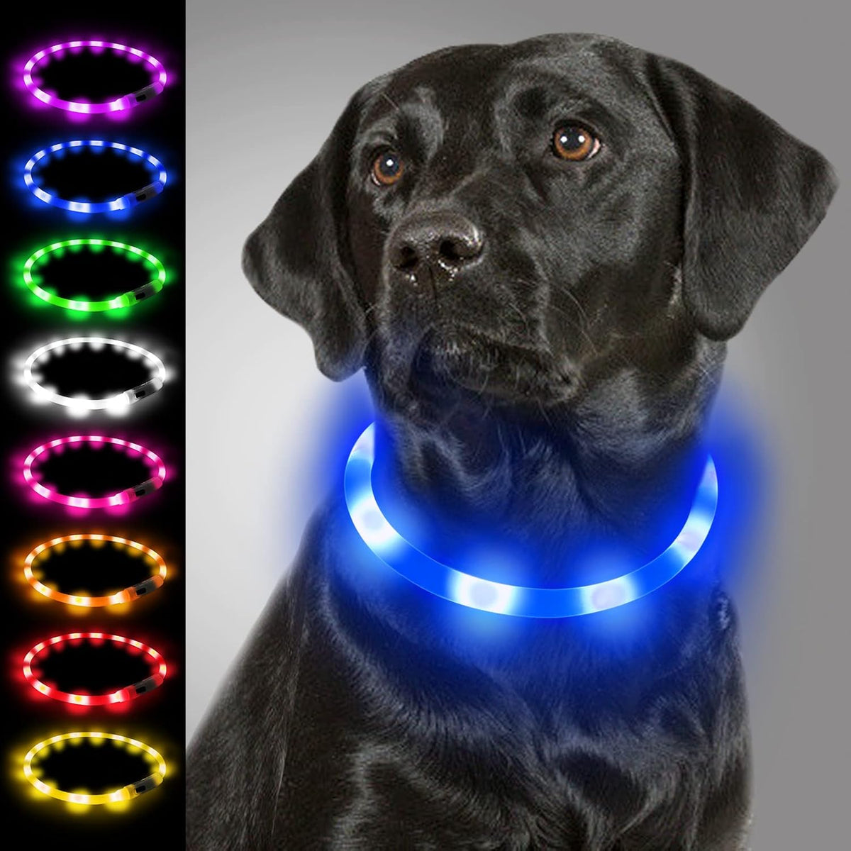 Light Up Dog Collar, LED Silicone Cut-to-Fit Rainproof, Purple
