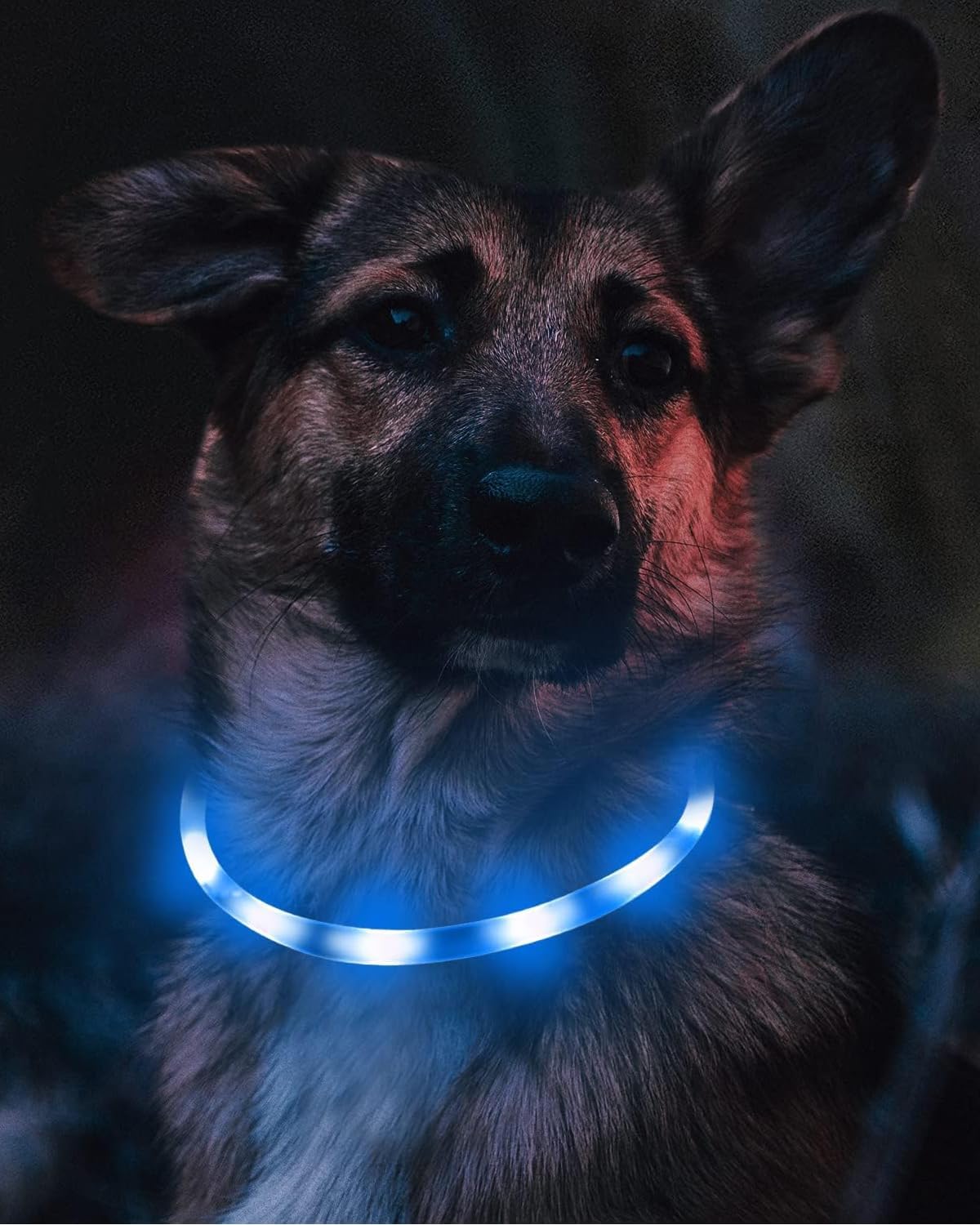 Light Up Dog Collar, LED Silicone Cut-to-Fit Rainproof, Purple