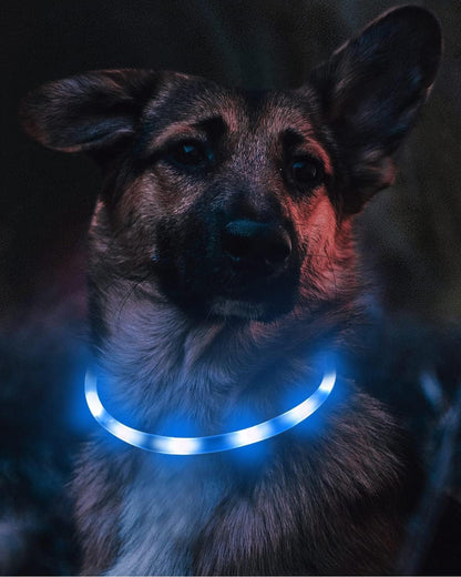 Light Up Dog Collar, LED Silicone Cut-to-Fit Rainproof, Purple