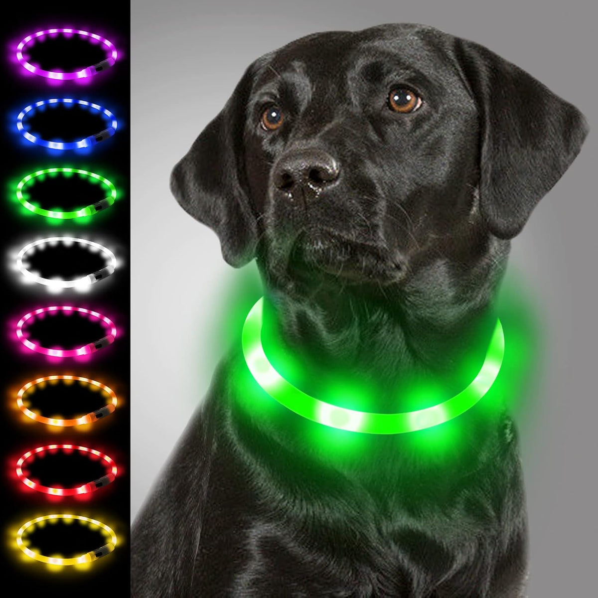 Light Up Dog Collar, LED Silicone Cut-to-Fit Rainproof, Purple