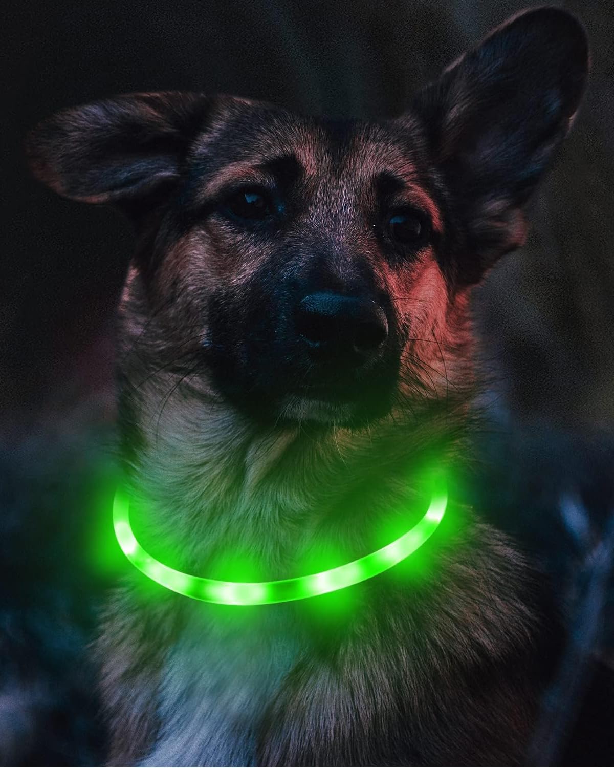Light Up Dog Collar, LED Silicone Cut-to-Fit Rainproof, Purple