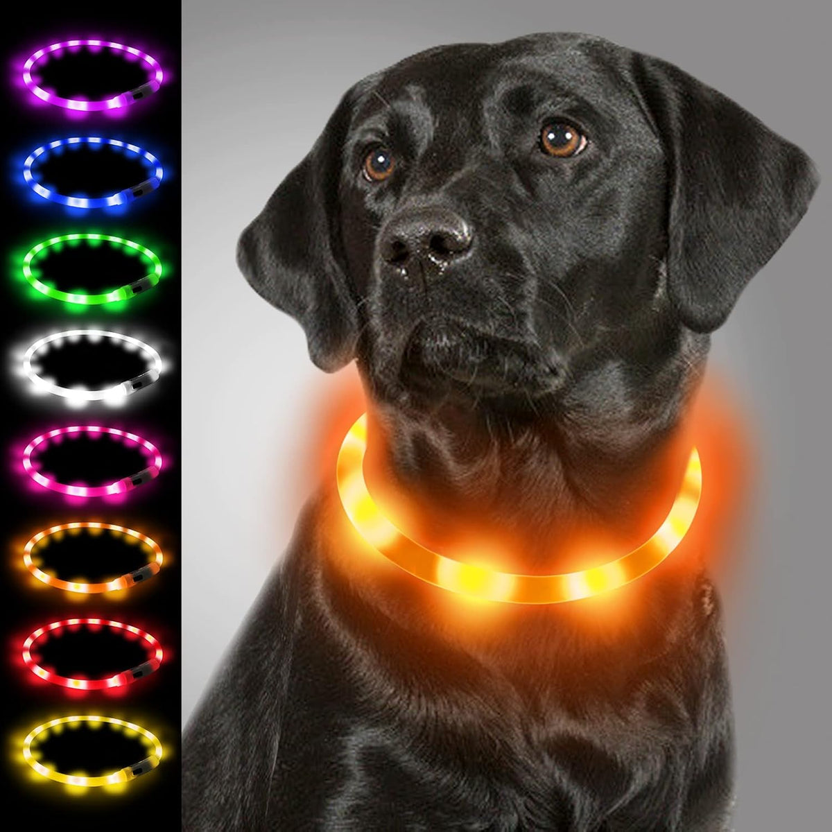Light Up Dog Collar, LED Silicone Cut-to-Fit Rainproof, Purple