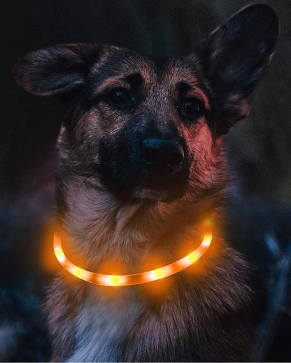 Light Up Dog Collar, LED Silicone Cut-to-Fit Rainproof, Purple