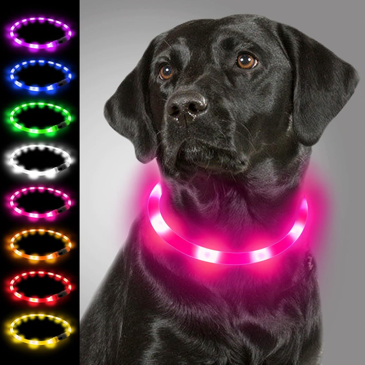 Light Up Dog Collar, LED Silicone Cut-to-Fit Rainproof, Purple