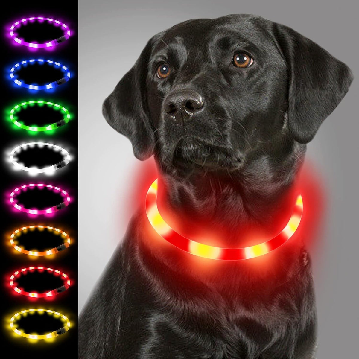 Light Up Dog Collar, LED Silicone Cut-to-Fit Rainproof, Purple