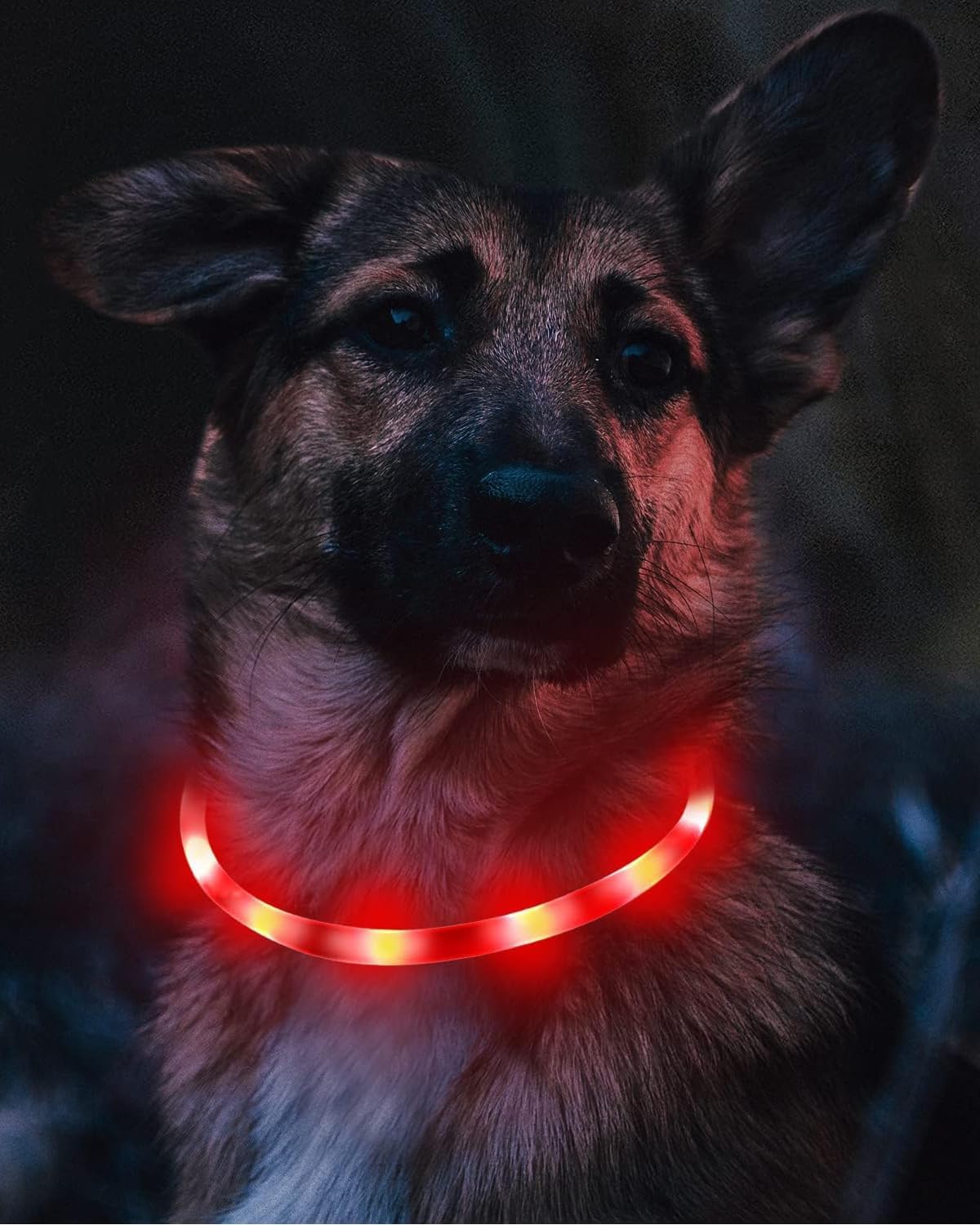 Light Up Dog Collar, LED Silicone Cut-to-Fit Rainproof, Purple
