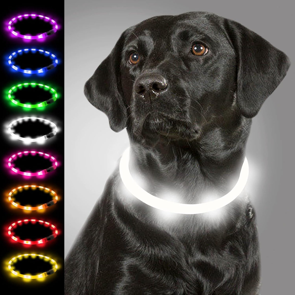 Light Up Dog Collar, LED Silicone Cut-to-Fit Rainproof, Purple
