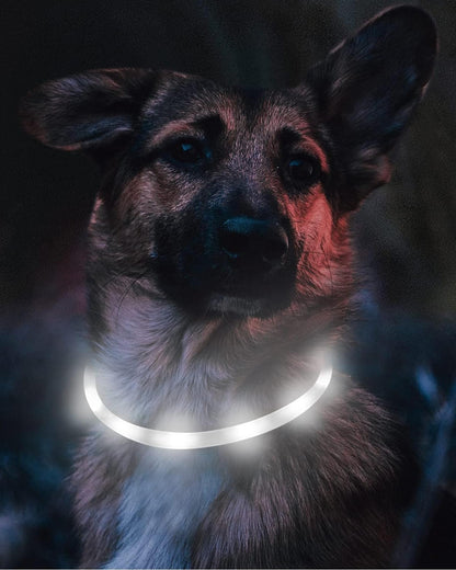 Light Up Dog Collar, LED Silicone Cut-to-Fit Rainproof, Purple