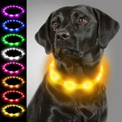 Light Up Dog Collar, LED Silicone Cut-to-Fit Rainproof, Purple