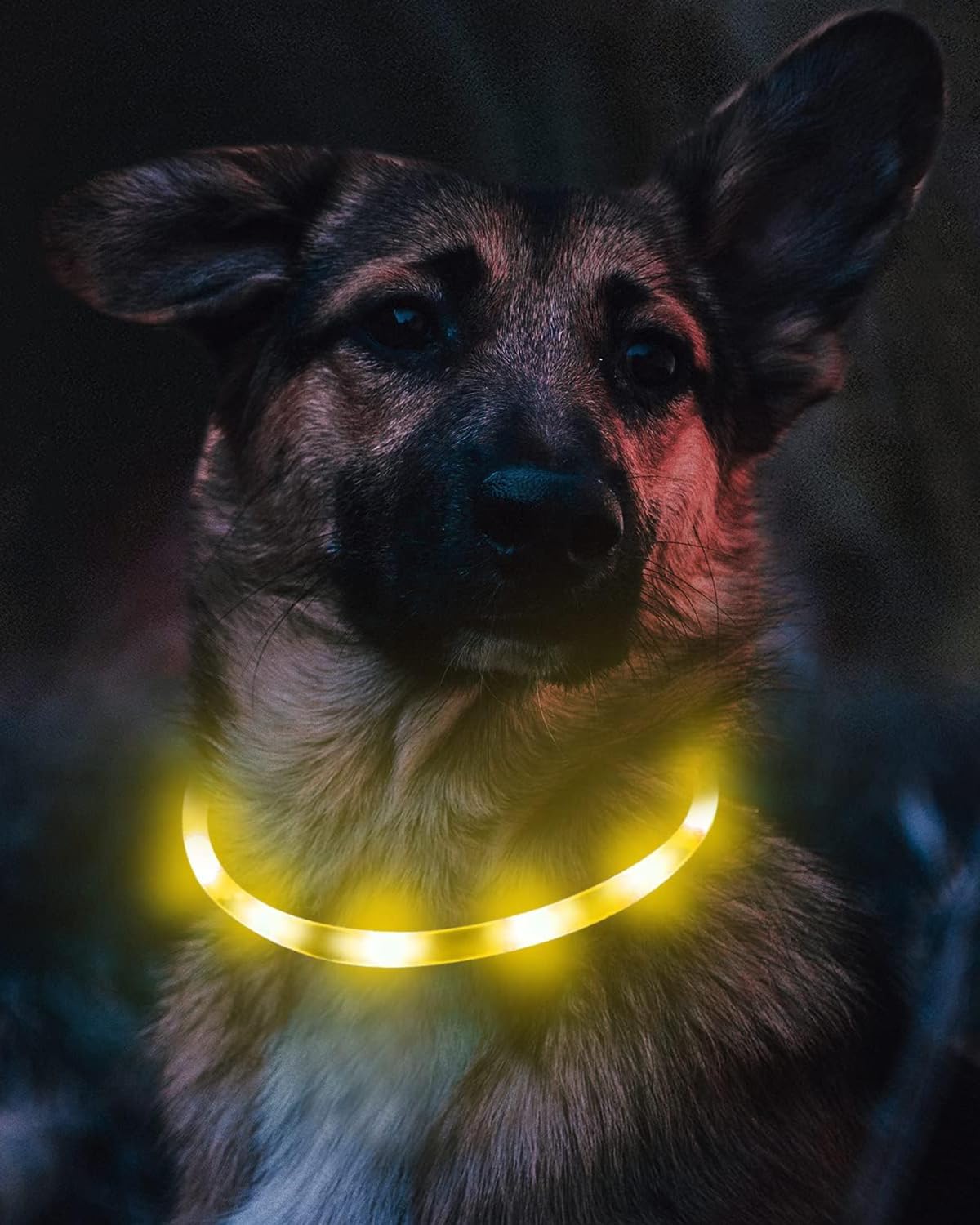Light Up Dog Collar, LED Silicone Cut-to-Fit Rainproof, Purple