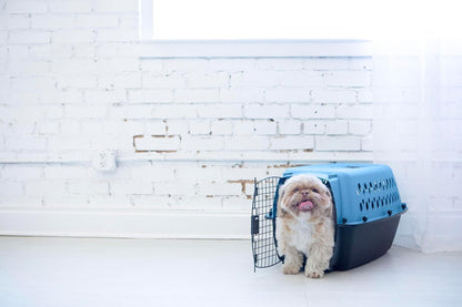 Fashion Vari Kennel, 19", for Dogs Up to 10 Lbs, 19.1"L x 12.6"W x 10.0"H, Made in USA