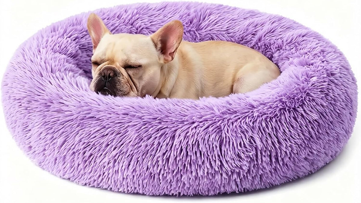 Calming Donut Dog and Cat Bed for Indoor Cats, Anti-Anxiety Round Fluffy Soft Washable Small Pet Bed for Puppy and Kitten, Warming Comfortable Luxury Anti-Slip Waterproof Mute Base 20in Gray