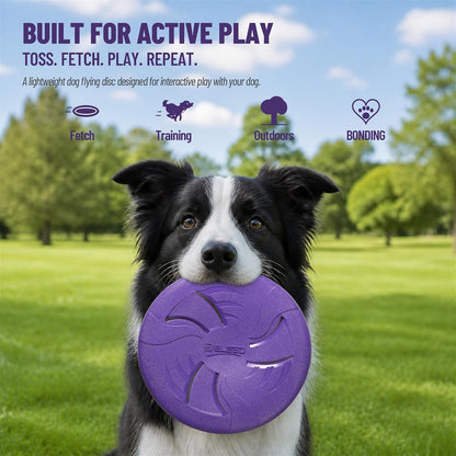 Dog Flying Disc, Flexible TPR Dog Fetch Toy, 7.48 inch, Purple