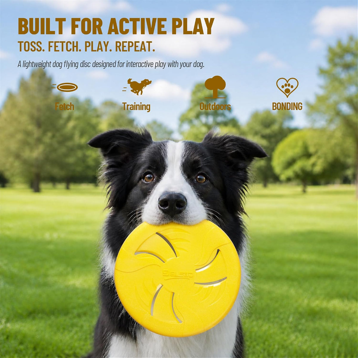 Dog Flying Disc, Flexible TPR Dog Fetch Toy, 7.48 inch, Purple
