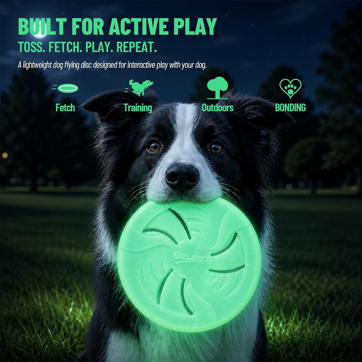 Dog Flying Disc, Flexible TPR Dog Fetch Toy, 7.48 inch, Purple
