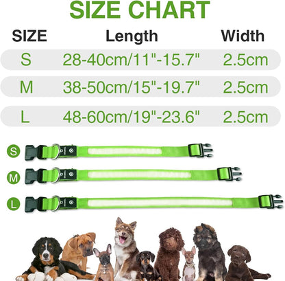 LED Dog Collar - Light Up Dog Collars Rechargeable - Waterproof Night Walking Glowing Dog Collar for Small, Medium, Large Dogs