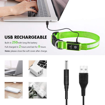LED Dog Collar - Light Up Dog Collars Rechargeable - Waterproof Night Walking Glowing Dog Collar for Small, Medium, Large Dogs