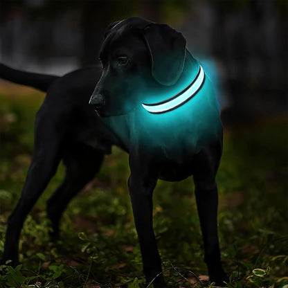 LED Dog Collar - Light Up Dog Collars Rechargeable - Waterproof Night Walking Glowing Dog Collar for Small, Medium, Large Dogs