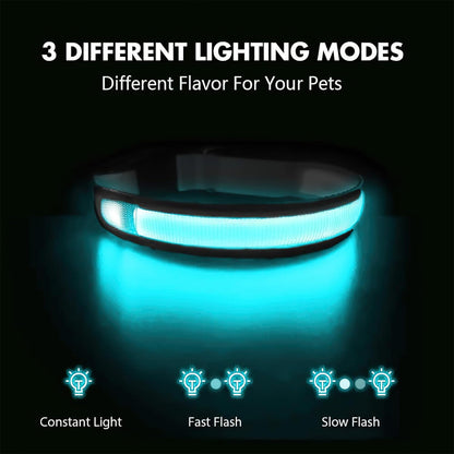LED Dog Collar - Light Up Dog Collars Rechargeable - Waterproof Night Walking Glowing Dog Collar for Small, Medium, Large Dogs