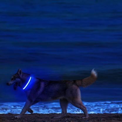 LED Dog Collar - Light Up Dog Collars Rechargeable - Waterproof Night Walking Glowing Dog Collar for Small, Medium, Large Dogs