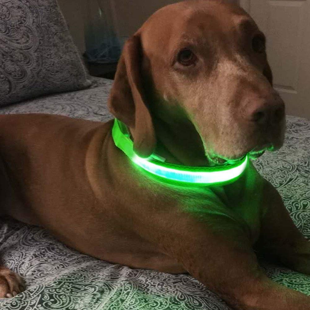 LED Dog Collar - Light Up Dog Collars Rechargeable - Waterproof Night Walking Glowing Dog Collar for Small, Medium, Large Dogs