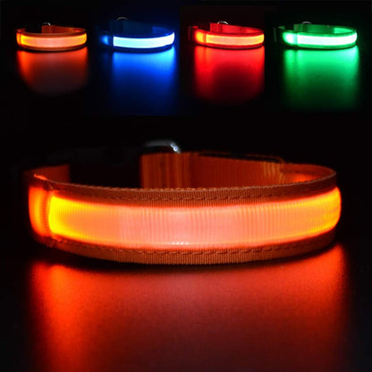 LED Dog Collar - Light Up Dog Collars Rechargeable - Waterproof Night Walking Glowing Dog Collar for Small, Medium, Large Dogs