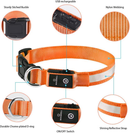 LED Dog Collar - Light Up Dog Collars Rechargeable - Waterproof Night Walking Glowing Dog Collar for Small, Medium, Large Dogs