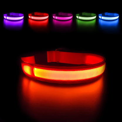 LED Dog Collar - Light Up Dog Collars Rechargeable - Waterproof Night Walking Glowing Dog Collar for Small, Medium, Large Dogs