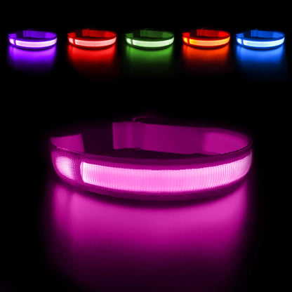 LED Dog Collar - Light Up Dog Collars Rechargeable - Waterproof Night Walking Glowing Dog Collar for Small, Medium, Large Dogs