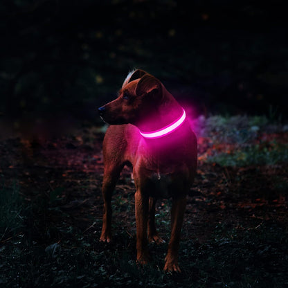 LED Dog Collar - Light Up Dog Collars Rechargeable - Waterproof Night Walking Glowing Dog Collar for Small, Medium, Large Dogs