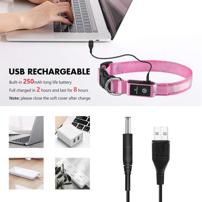 LED Dog Collar - Light Up Dog Collars Rechargeable - Waterproof Night Walking Glowing Dog Collar for Small, Medium, Large Dogs