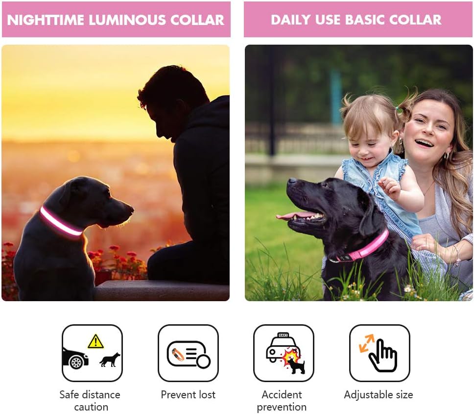 LED Dog Collar - Light Up Dog Collars Rechargeable - Waterproof Night Walking Glowing Dog Collar for Small, Medium, Large Dogs