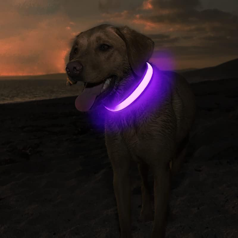 LED Dog Collar - Light Up Dog Collars Rechargeable - Waterproof Night Walking Glowing Dog Collar for Small, Medium, Large Dogs