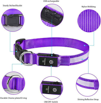 LED Dog Collar - Light Up Dog Collars Rechargeable - Waterproof Night Walking Glowing Dog Collar for Small, Medium, Large Dogs