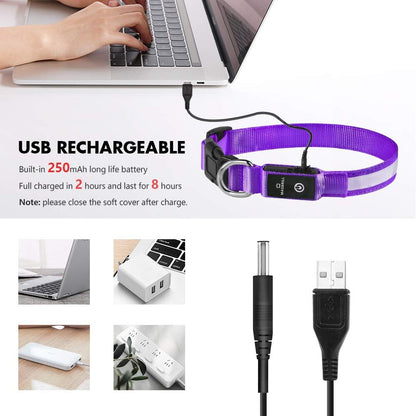 LED Dog Collar - Light Up Dog Collars Rechargeable - Waterproof Night Walking Glowing Dog Collar for Small, Medium, Large Dogs