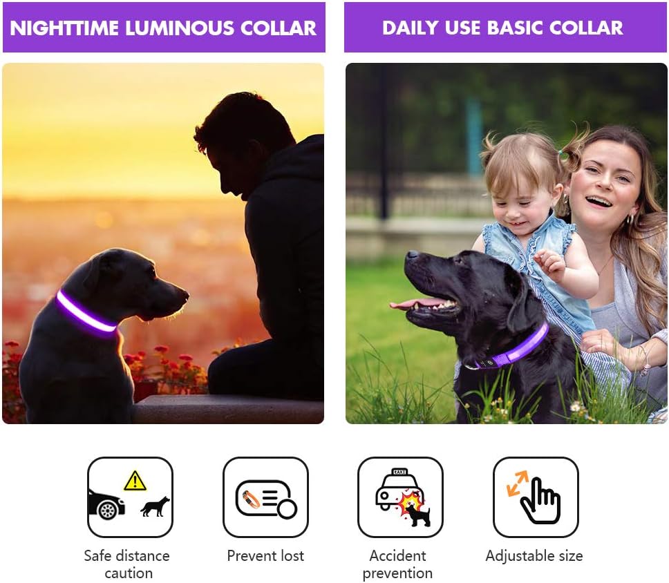 LED Dog Collar - Light Up Dog Collars Rechargeable - Waterproof Night Walking Glowing Dog Collar for Small, Medium, Large Dogs