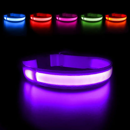 LED Dog Collar - Light Up Dog Collars Rechargeable - Waterproof Night Walking Glowing Dog Collar for Small, Medium, Large Dogs