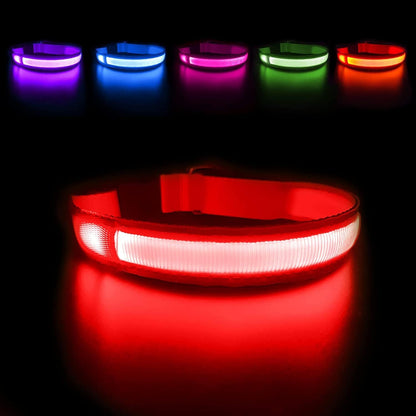 LED Dog Collar - Light Up Dog Collars Rechargeable - Waterproof Night Walking Glowing Dog Collar for Small, Medium, Large Dogs