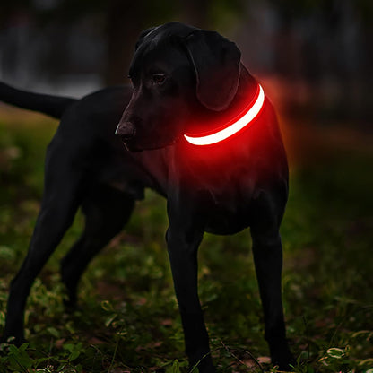 LED Dog Collar - Light Up Dog Collars Rechargeable - Waterproof Night Walking Glowing Dog Collar for Small, Medium, Large Dogs