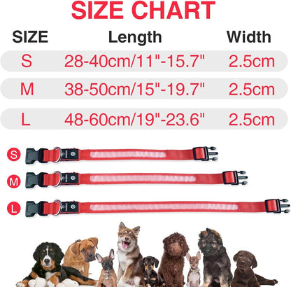LED Dog Collar - Light Up Dog Collars Rechargeable - Waterproof Night Walking Glowing Dog Collar for Small, Medium, Large Dogs