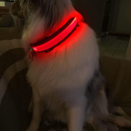 LED Dog Collar - Light Up Dog Collars Rechargeable - Waterproof Night Walking Glowing Dog Collar for Small, Medium, Large Dogs