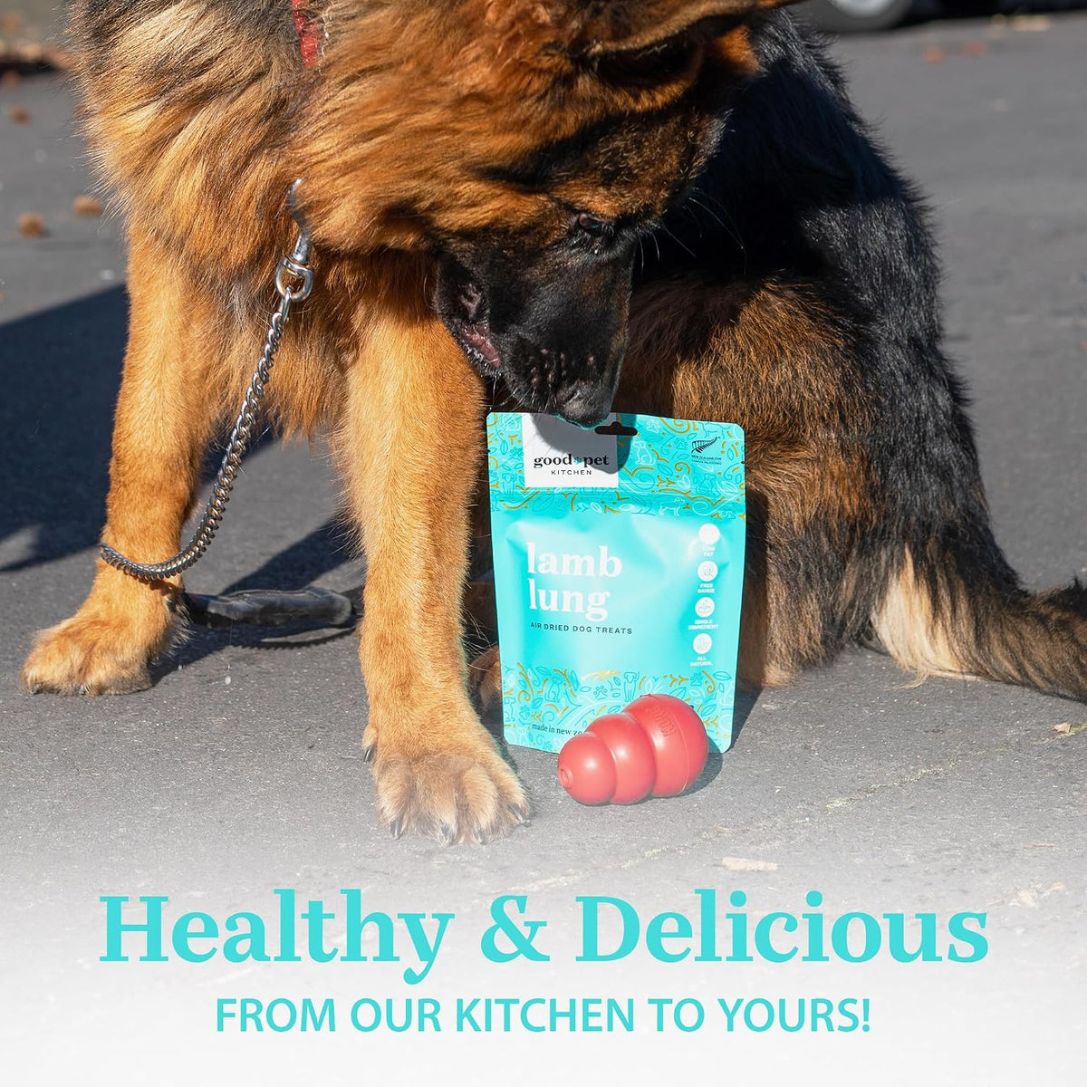 Pet Treats, Air-Dried, Natural, Limited Ingredient Dog Treat, Free Range, Grain Free Dog Treats, Toppers, Snacks, Beef & Parmesan 2.8 oz