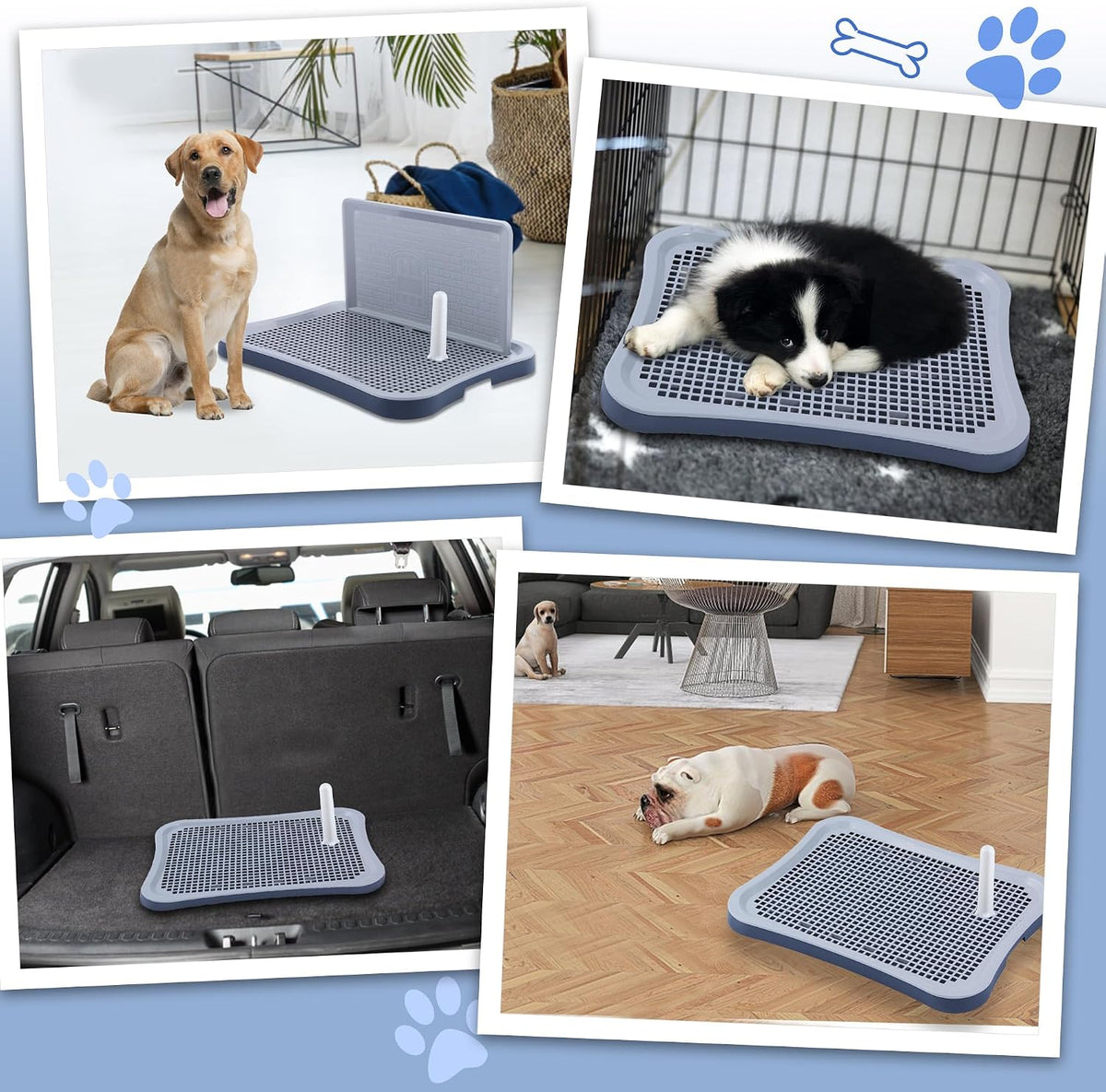 Pee Pad Holder, Indoor Potty Tray for Puppy and Small Size Dog with Pee Wall, Non-Skid Feet, 20x15.4x1.4 inch (Medium)
